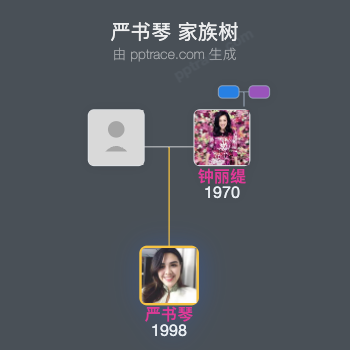 严书琴家族树全览