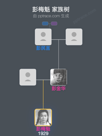 彭梅魁 家族树全览