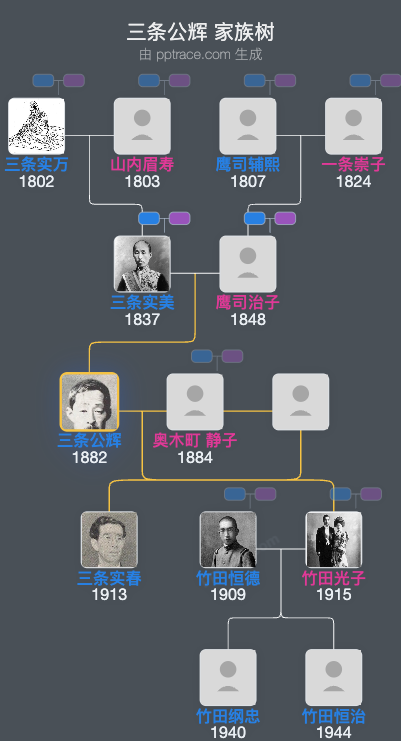 三条公辉家族树全览