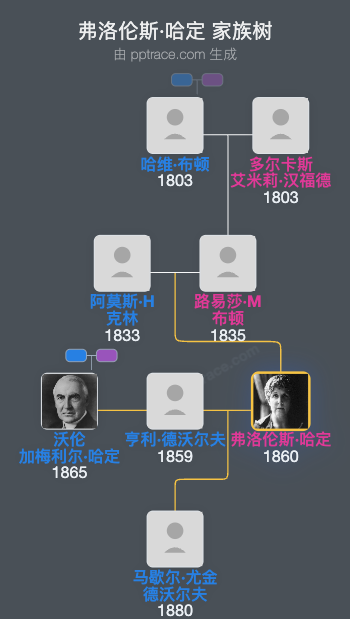 弗洛伦斯·哈定家族树全览