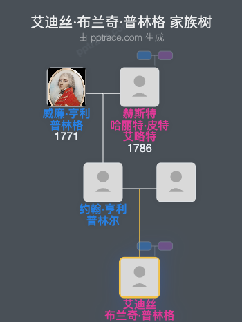 艾迪丝·布兰奇·普林格家族树全览