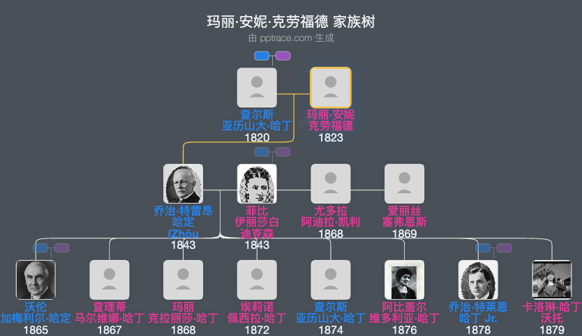 玛丽·安妮·克劳福德家族树全览