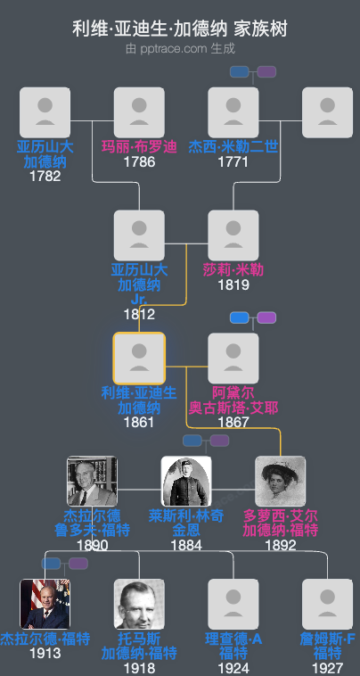 利维·亚迪生·加德纳家族树全览