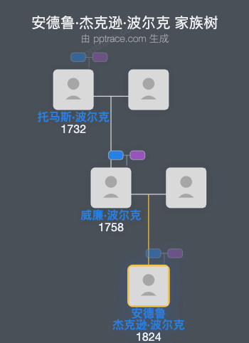 安德鲁·杰克逊·波尔克家族树全览