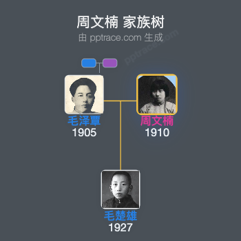 周文楠 家族树全览