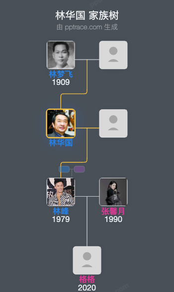 林华国 家族树全览