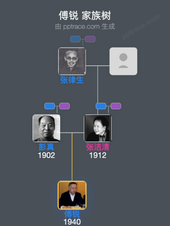 傅锐 家族树全览