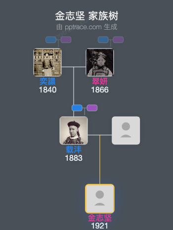 金志坚家族树全览