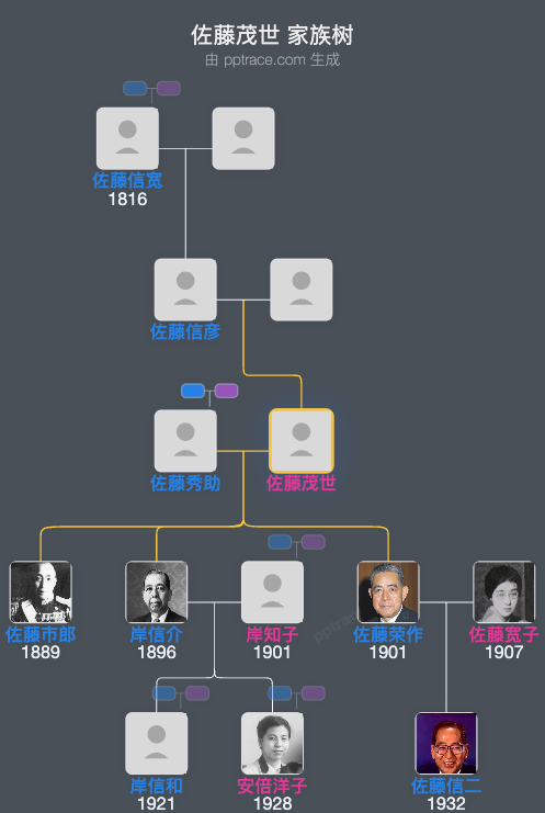 佐藤茂世家族树全览