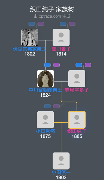 织田纯子家族树全览