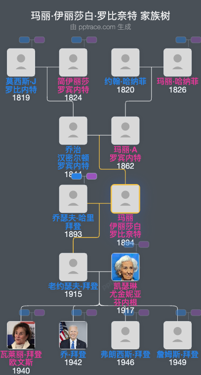 玛丽·伊丽莎白·罗比奈特家族树全览