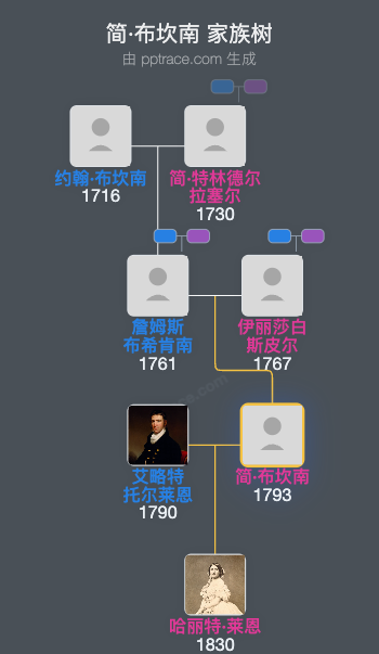 简·布坎南家族树全览