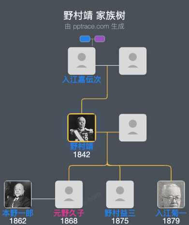 野村靖家族树全览