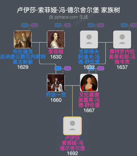 卢伊莎·索菲娅·冯·德尔舍尔堡，德利茨伯爵家族树全览
