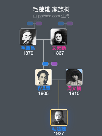 毛楚雄 家族树全览