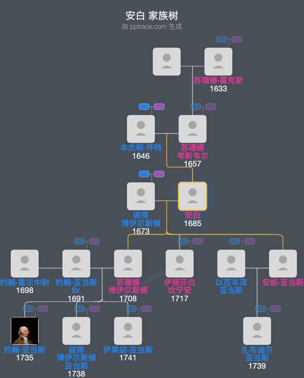 安白家族树全览