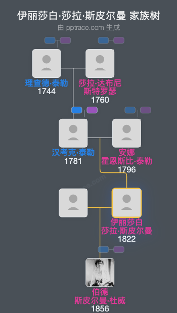 伊丽莎白·莎拉·斯皮尔曼家族树全览