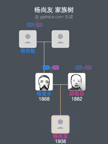 杨尚友 家族树全览