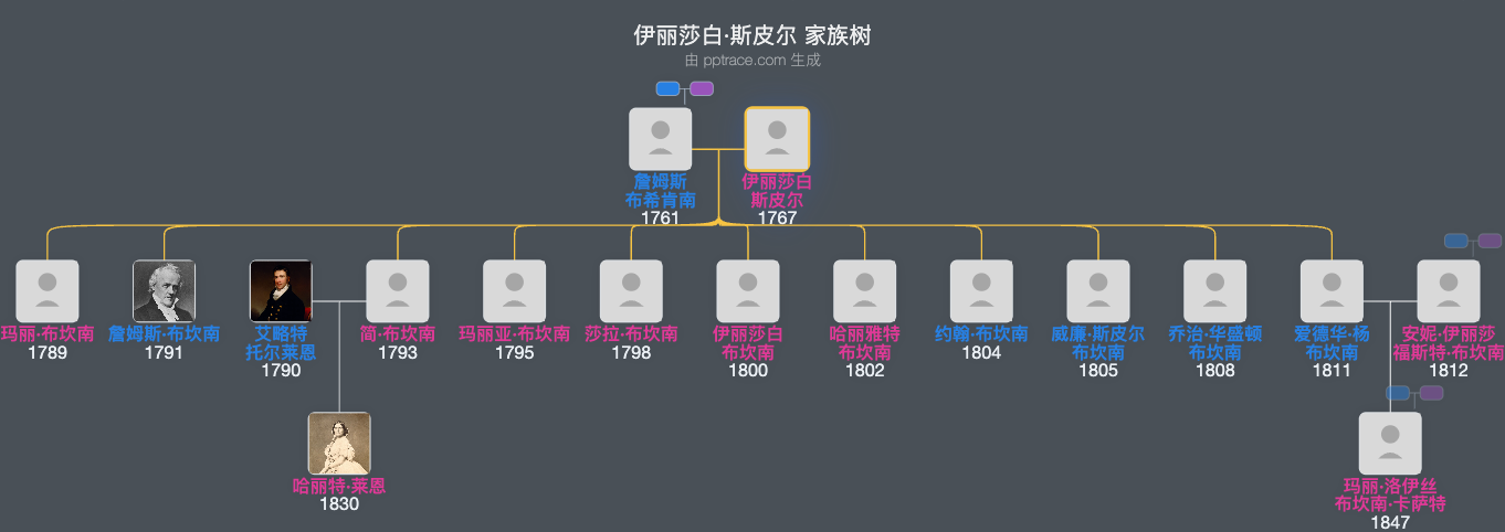 伊丽莎白·斯皮尔家族树全览