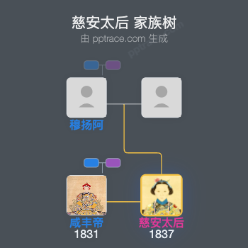 慈安太后家族树全览