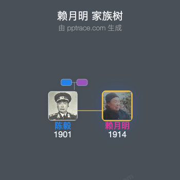 赖月明 家族树全览