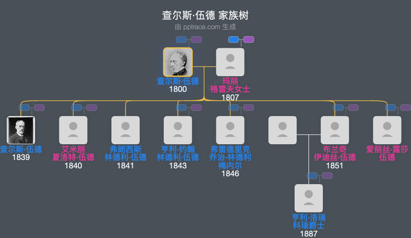 查尔斯·伍德家族树全览