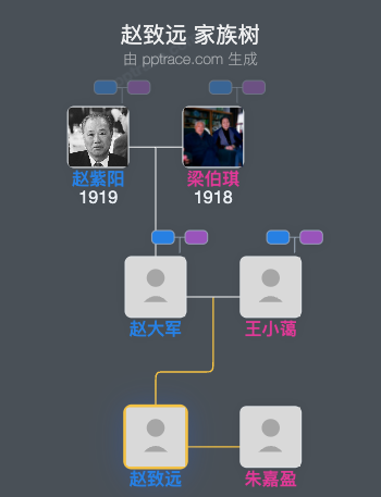 赵致远 家族树全览