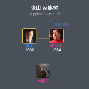 张山家族树全览