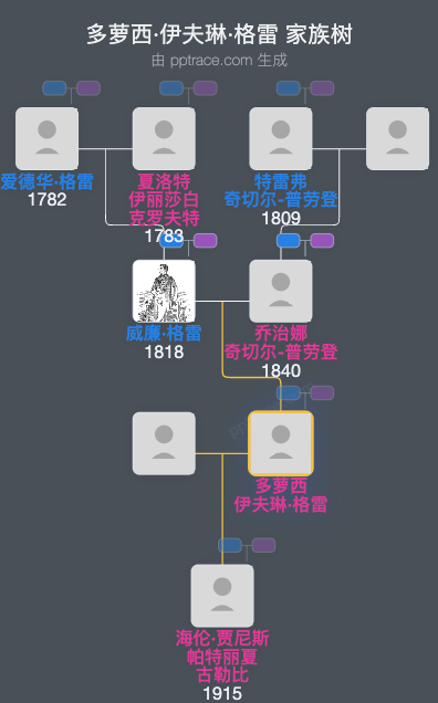 多萝西·伊夫琳·格雷家族树全览