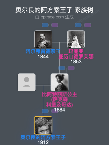 奥尔良的阿方索王子家族树全览