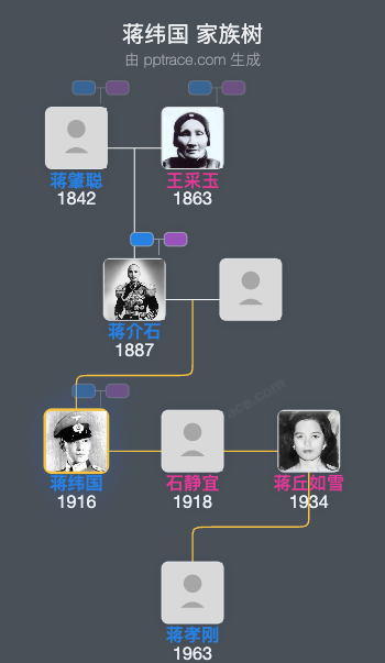 蒋纬国 家族树全览