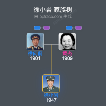 徐小岩 家族树全览