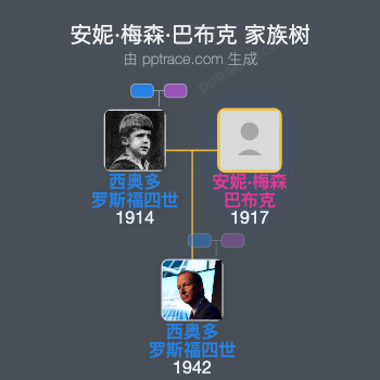 安妮·梅森·巴布克家族树全览