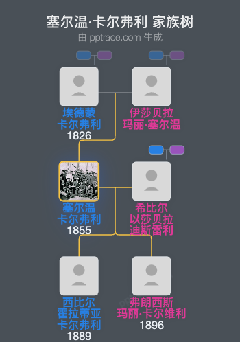 塞尔温·卡尔弗利家族树全览