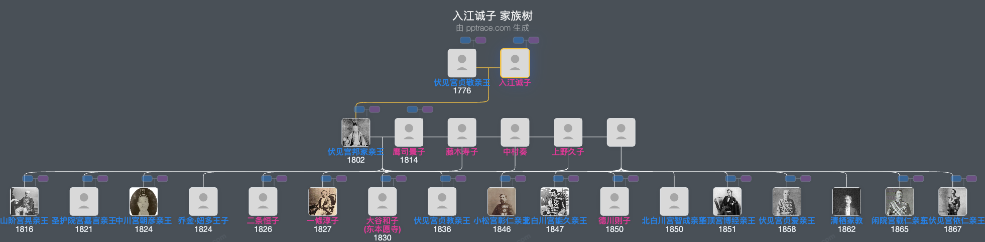 入江诚子家族树全览