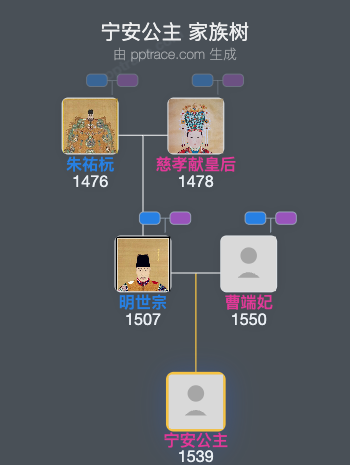 宁安公主家族树全览