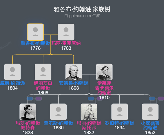 雅各布·约翰逊家族树全览
