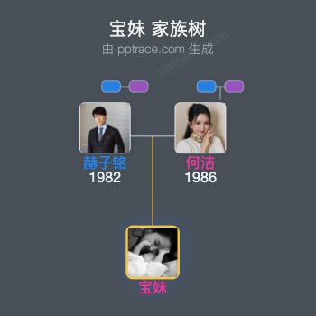 宝妹 家族树全览