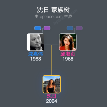 沈日家族树全览