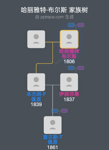 哈丽雅特·布尔斯家族树全览
