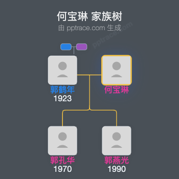 何宝琳 家族树全览