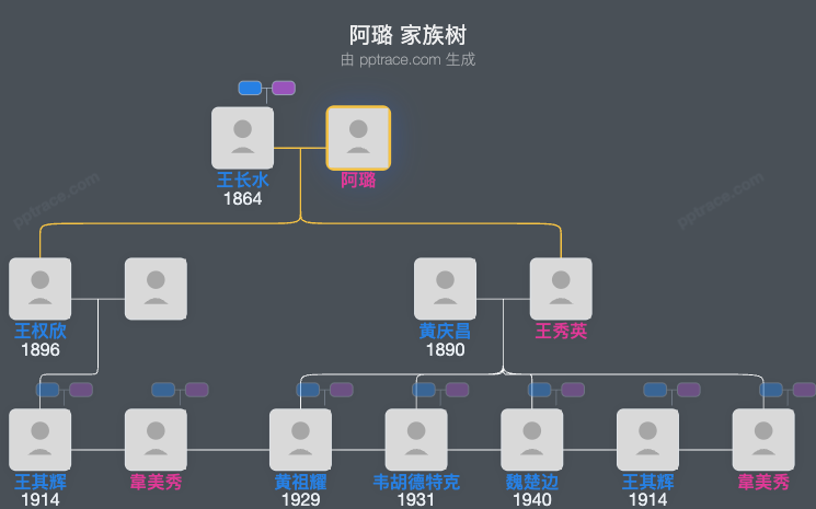 阿璐 家族树全览