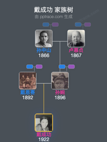 戴成功 家族树全览