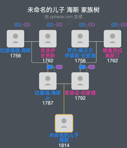 未命名的儿子 海斯家族树全览