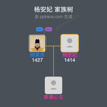 杨安妃家族树全览