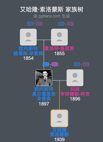 艾哈隆·索洛蒙斯家族树全览