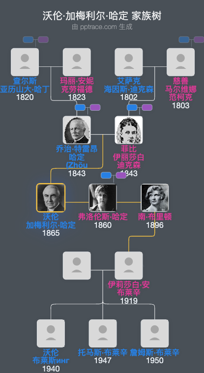 沃伦·加梅利尔·哈定家族树全览