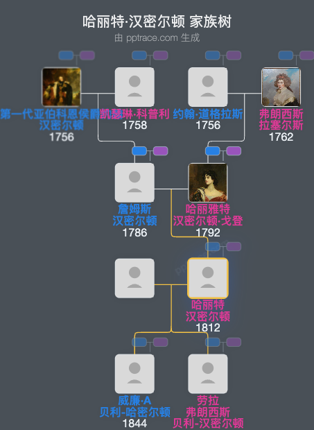 哈丽特·汉密尔顿家族树全览