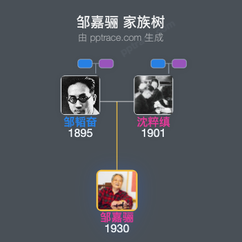 邹嘉骊 家族树全览