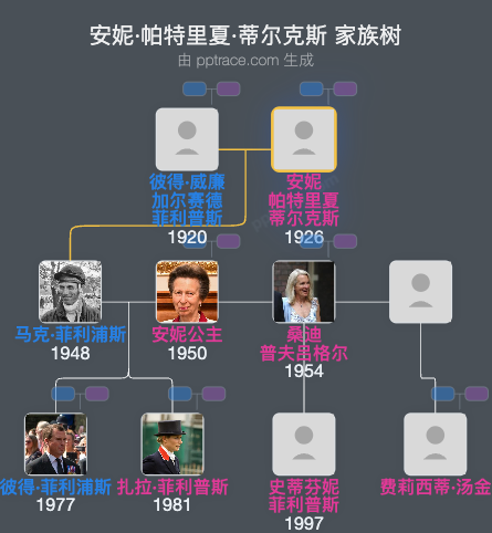 安妮·帕特里夏·蒂尔克斯家族树全览